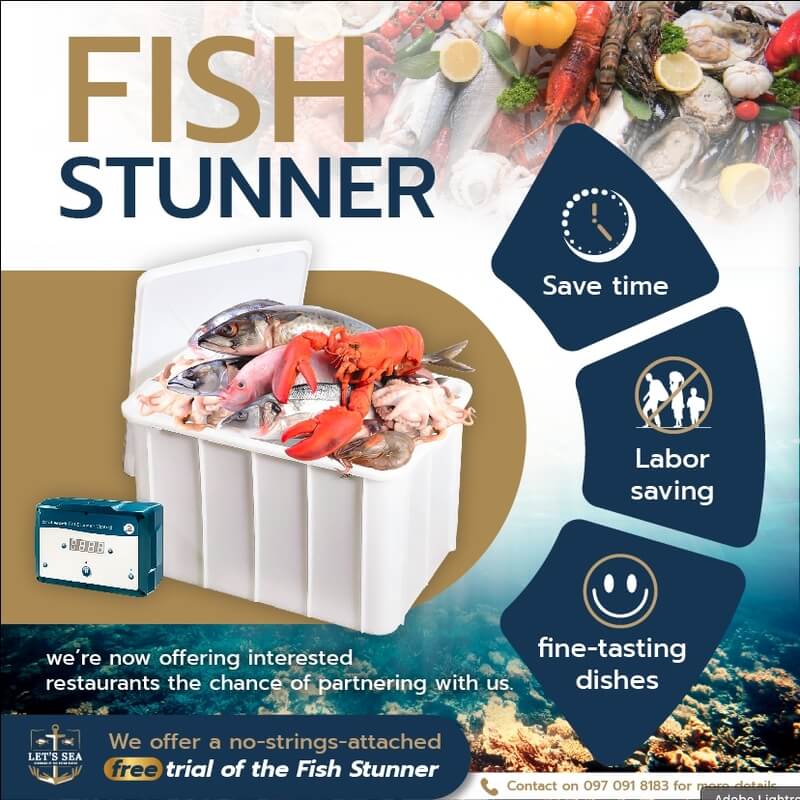 Fish_Stunner3