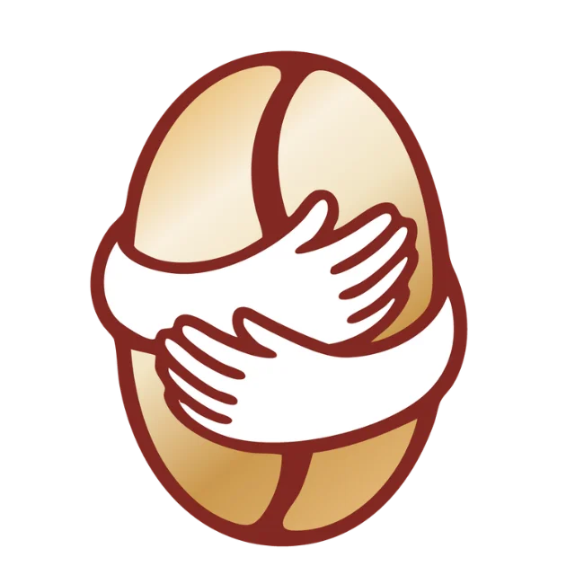 26